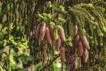 Eigenmittel zur Sicherung der Solvenz
