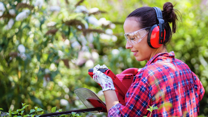 Aufgepasst vor Tieren, Türen und Treppen