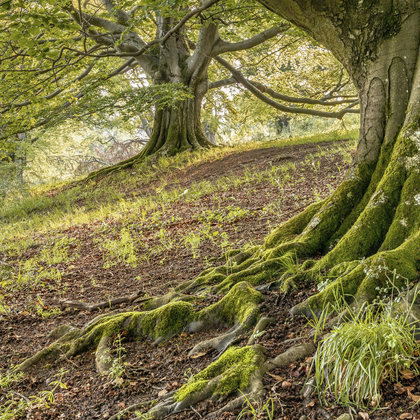 Finanze e investimenti