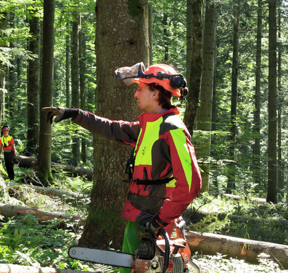 Ausbildung Sturmholz