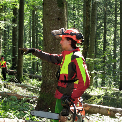 Ausbildung Sturmholz