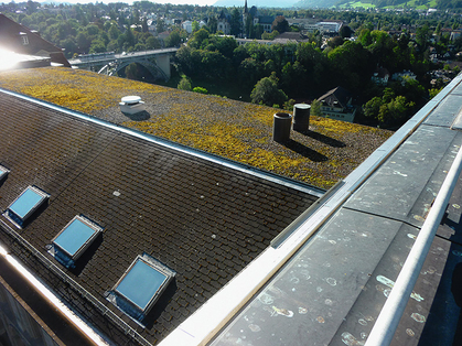 Anerkennung als Asbestsanierungsunternehmen