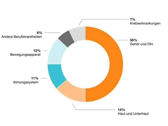 Dieses Kuchendiagramm zeigt, welche Arten von Berufskrankheiten wie häufig vorkommen bzw. welche Körperregionen diese wie häufig betreffen.