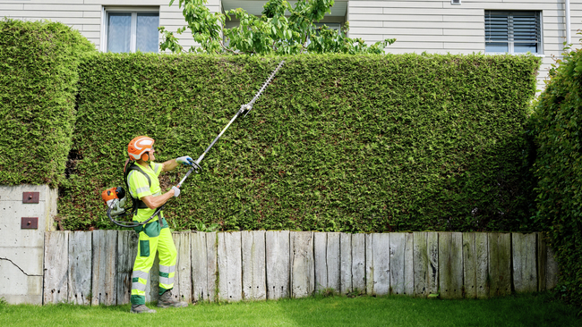 Gartenbau, Fotoshooting, Baustelle, Garten, Landschaftsgärtner