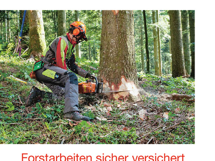 Forstarbeiten: Versicherung und Arbeitssicherheit