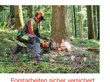 Lavori forestali: assicurazione e sicurezza sul lavoro