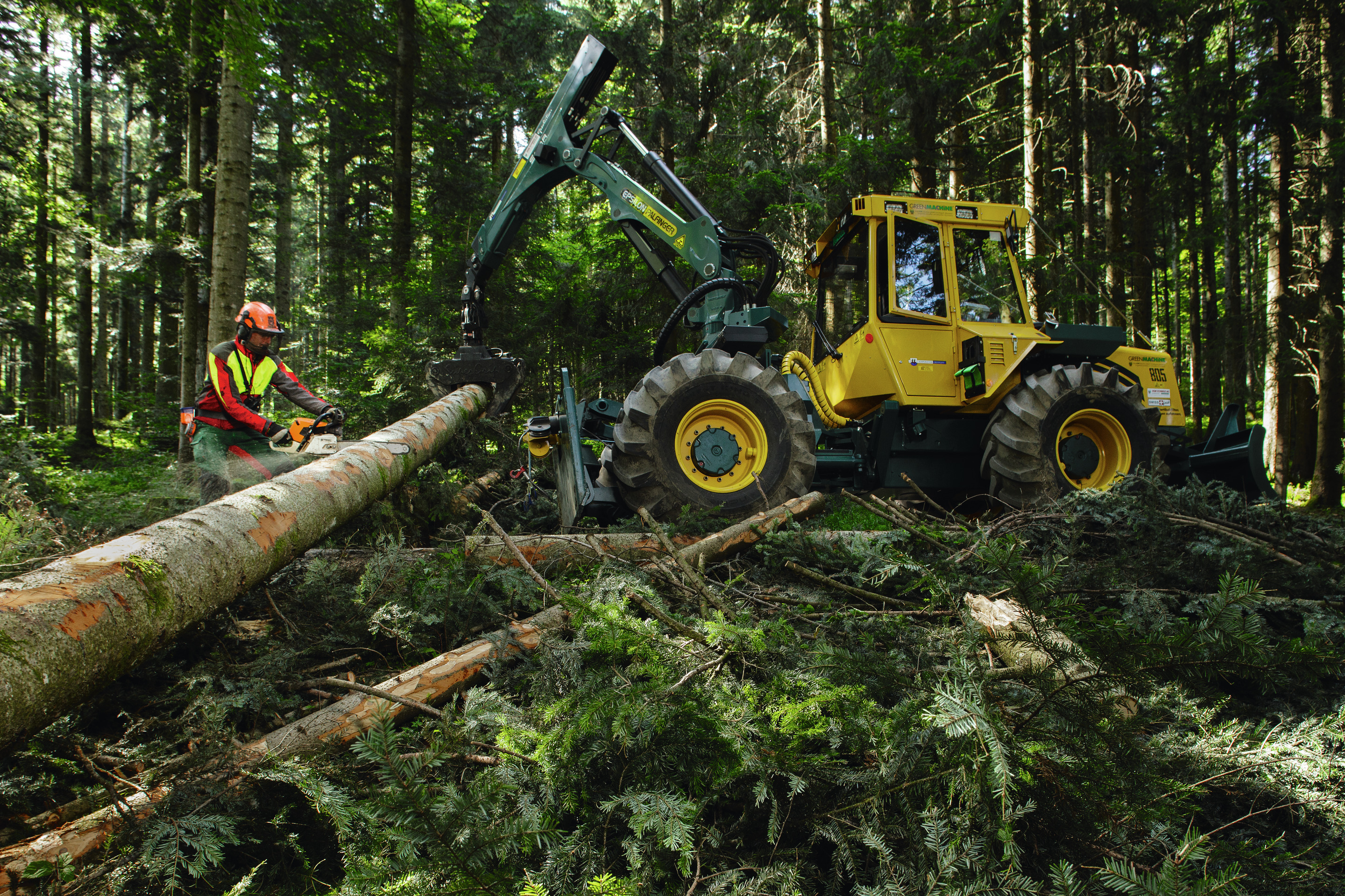 Sécurité du travail en forêt: éviter les accidents