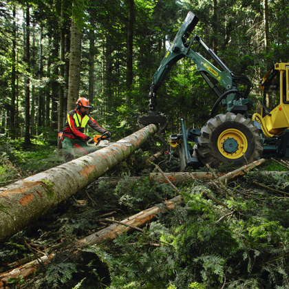 Sécurité du travail en forêt: éviter les accidents