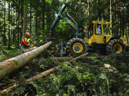 Sicherheit im Forst: Unfälle vermeiden bei Waldarbeiten
