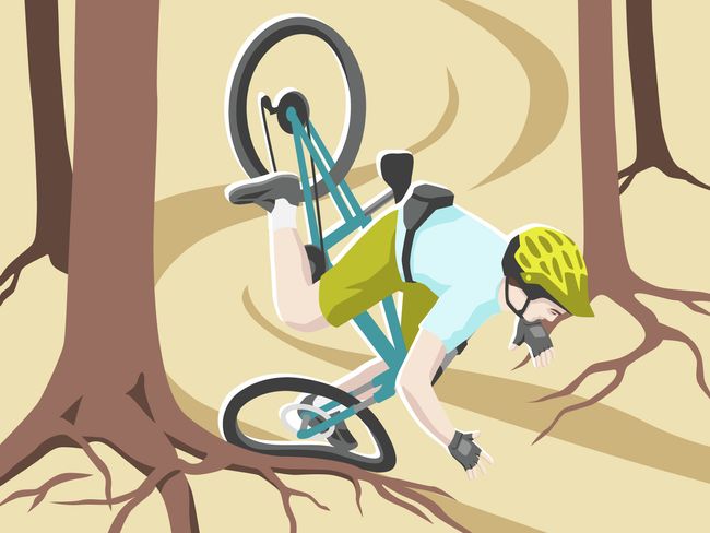 velo_8_wurzeln_1.jpg