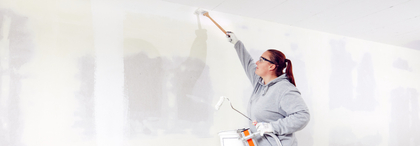 Regole vitali per pittori e gessatori: video