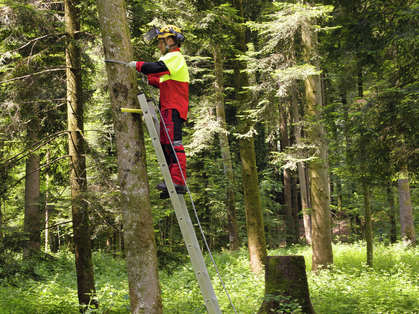 Sichere Arbeitsmittel und fitte Mitarbeitende im Forst