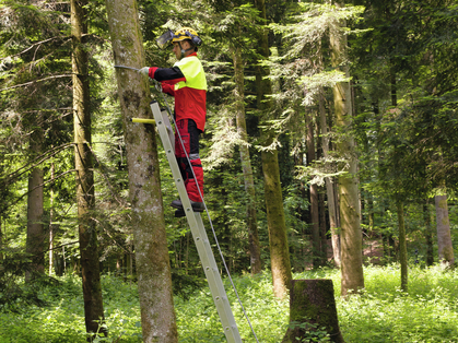Des équipements de travail sûrs et des collaborateurs performants pour les travaux forestiers