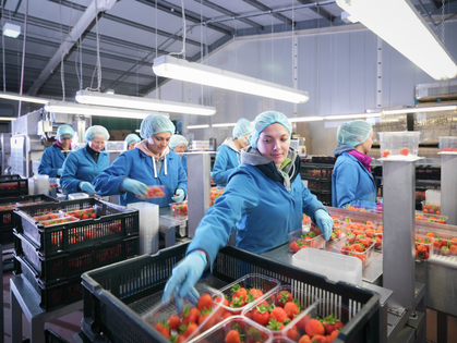 Repetitive und kurzzyklische Tätigkeiten