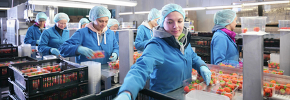 Berufskrankheiten am Bewegungsapparat