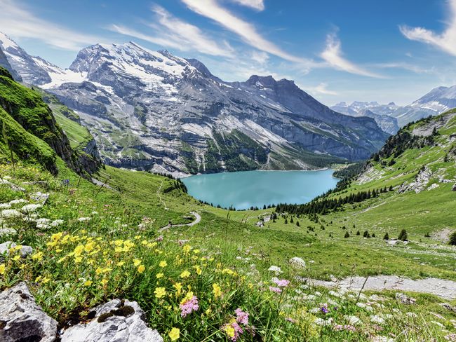 Ein atemberaubender Blick auf den Oeschinensee in der Schweiz an einem sonnigen Sommertag, umgeben von Bergblumen im Vordergrund.